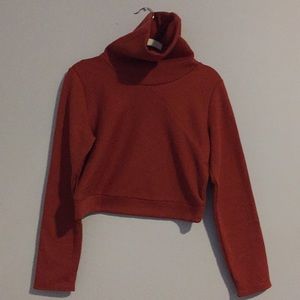 Alo Yoga Cropped Sweatshirt with delish cowl neck